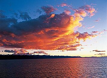 传任天堂两款游戏开发中 代号为“爱德华”和“安娜”